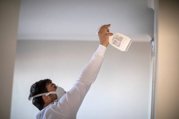 Best Mold Removal Company Near Me  in Willow Park, TX